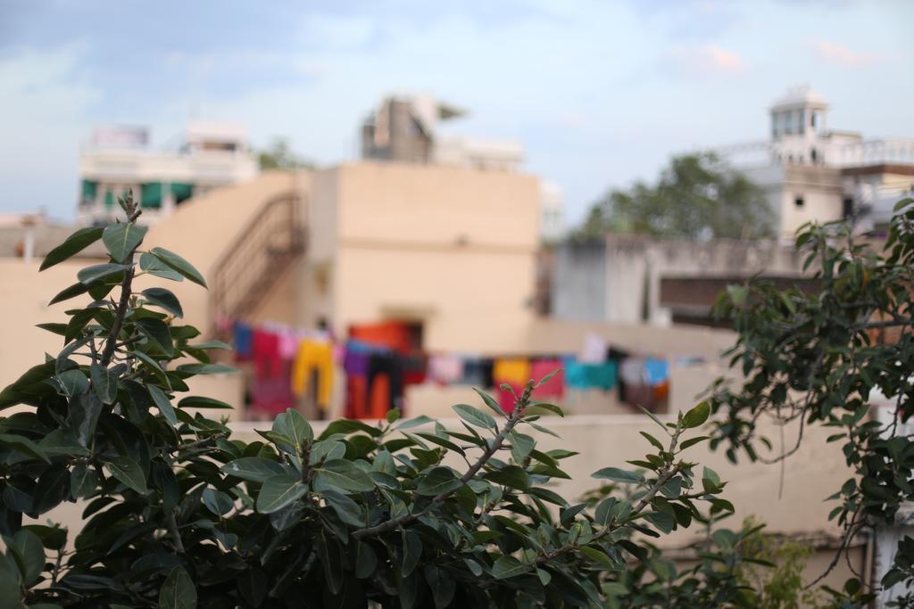 Lassi Guest House Udaipur Eksteriør billede